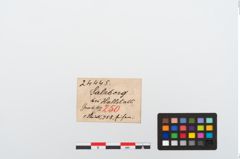 Etikett zu Eisenraspel (NHMW-PRAE-024445)